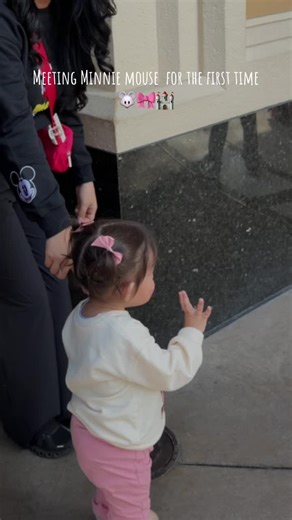 Meeting Minnie Mouse: A Heartwarming First Experience