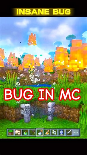 I Found the Craziest Bug in Minecraft 🤯