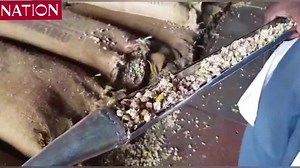 3.6K views · 114 reactions | Pyrethrum Processing Company of Kenya pegs hope on Nakuru city status for revival | Nation | Facebook