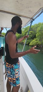 24K views · 280 reactions | A tour of the Tyrrel Bay Oyster Bed with Tamayo from Oii Pappy Tours and Travis from Lambi Queen Tours. | Explore Carriacou and Petite Martinique | Facebook