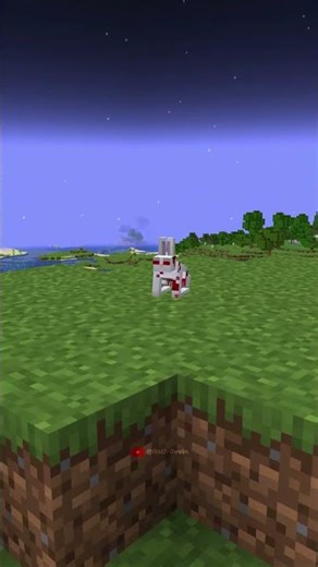 Minecraft’s Hidden Killer Mob😲