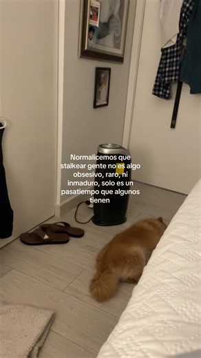 The Normalization of Stalking Behavior: Understanding the #stalkear Trend