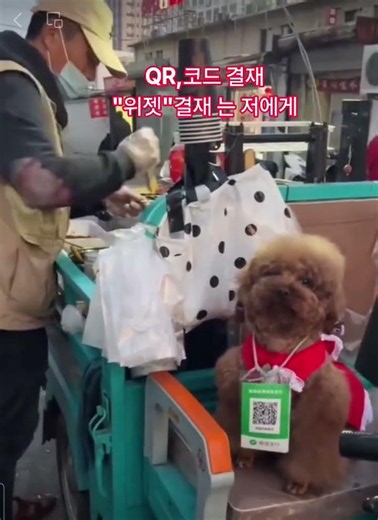#위젯결재 #QR결재 최소단위 100원(1위안)이하도 결재 가능함. 현금이 필요없는 사회 노숙거지 도 큐알결재 하는 사회. ♡구독♡좋아요^*^