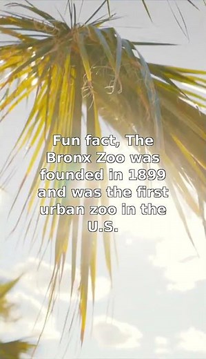 Did You Know? The Bronx Zoo's Historic Roots