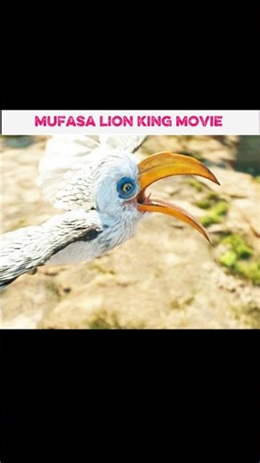 Mufasa Lion King movie 4K quality edit, powerful moments, royal pride and epic legacy.