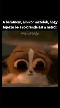 Random mémek 305 #magyar #memes #mém #mémek #mémfölde #meme #humor