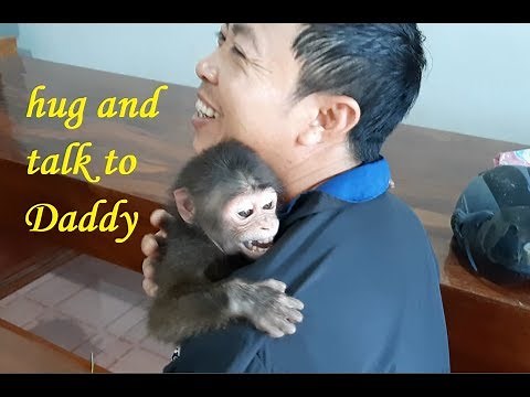 Monkey Doo Hugs And Talks To His Daddy