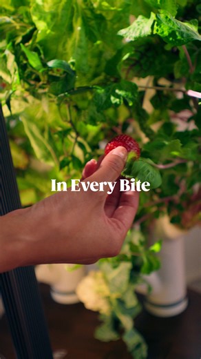 29K views · 19 reactions | Meet the new Studio 2. It's our best studio yet, making it even easier to harvest fresh delicious organic produce at home year-round. It's got our latest camera technology and our new easy clean columns to make harvesting goodness even easier. The Sunrise Sunset mode is something to behold, as you can change the mood of the room at any time☺️. Harvest happiness for a tastier more fulfilling life with Studio 2. | Gardyn | Facebook