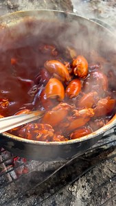 Comida costeña🫡 Amarillo de chiquiliquis un platillo exótico de la costa de Oaxaca. Ya lo has probado? | Ventanilla salvaje