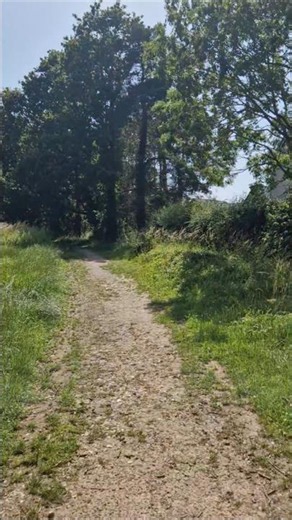 EXTREME 40C Temperatures are SCORCHING the UK!