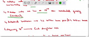 SOLVED:Suppose the error rate during replication in human cells were the same as that of bacteria (about 10^-9 ). How would this impact the two cells differently?