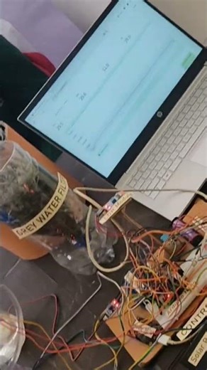 Hydroponic and Aeroponic Farming 🧺 technique