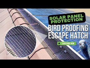 Solar Panel Protection Made Easy | How to Install an Escape Hatch to Keep Birds Out