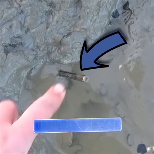 Deceptive finds: Which ones are the real pipes?