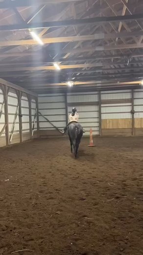 #curlingphotography | Curlingphotography