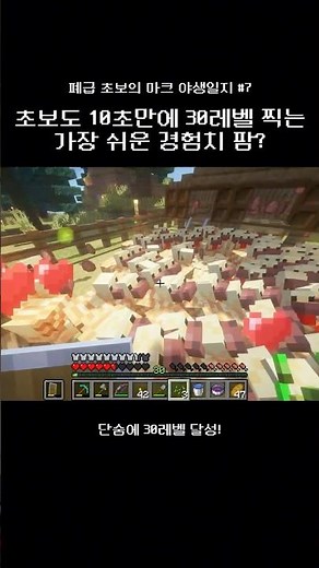 초보도 금방 30레벨 찍는 가장 쉬운 경험치 팜? #minecraft #마인크래프트