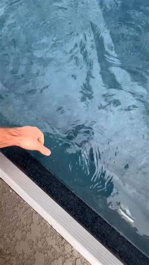 Phil Whitman on Instagram: "Calcium scale forms when pool water is out of balance. It doesn’t just sit on tile — it: • Chokes heaters • Kills salt cells • Restricts water flow • Shortens equipment life Left untreated, scale forces pumps and heaters to work harder… until they fail. This is why we obsess over water balance — not just “clear water,” but protecting the equipment that costs thousands to replace. Clear water is easy. Healthy water is intentional. If you’ve noticed rough surfaces, clou