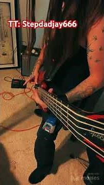 Breaking Benjamin-Red Cold River bass cover #breakingbenjamin ‪@breakingbenjamin‬ #cover #bass