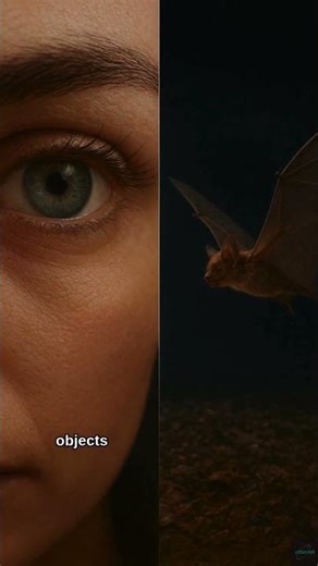 Bats Can See the World in Sound — And It’s Mind-Blowing!