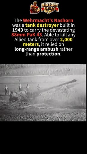 The Open-Top 88mm That Hunted Tanks in WWII #shorts #facts