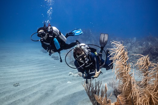 Diving in Statia isn’t about crowds or chaos, it’s about space, stillness, and discovery. Here, volcanic rock meets coral reefs, wrecks meet sea life, and divers meet the kind of tranquility you can’t find anywhere else. Every dive feels intimate, guided by experts who know every corner of the marine park. You’ll surface with a full heart and the quiet realization that you’ve just explored one of the Caribbean’s best-kept secrets. 🌊 #statiadivers #caribbean #statia #diving #scubadiving #diveres