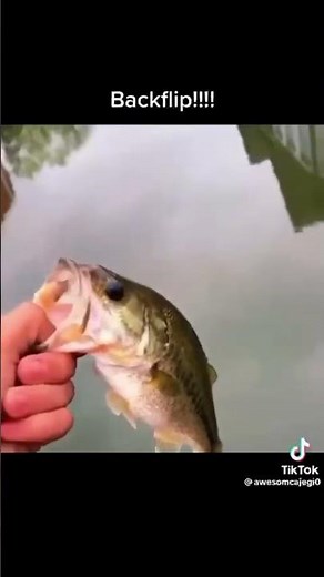 Fish backflip meme
