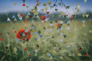 Creative coding with Processing for designers