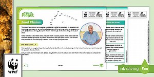 WWF: Food Chains Matching Activity with David Attenborough [Ages 7-9]