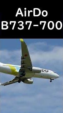 【7機材の着陸を90秒で！】プロペラ機ATR42-600から大型ジェット機B777-200まで！着陸機が真上を通過！函館空港12エンド着陸コース直下にある根崎公園で見る着陸