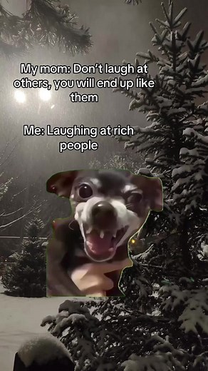 Laughing at Rich: A Humorous Take on Wealth