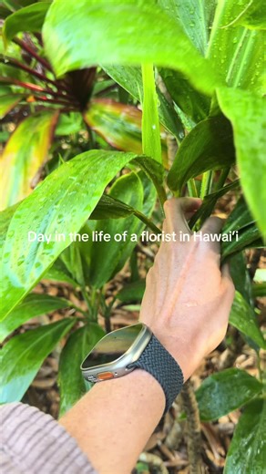 Day in the life of a florist in Hawai’i! #hawaii #flowers #floraldesign #florist #dayinmylife