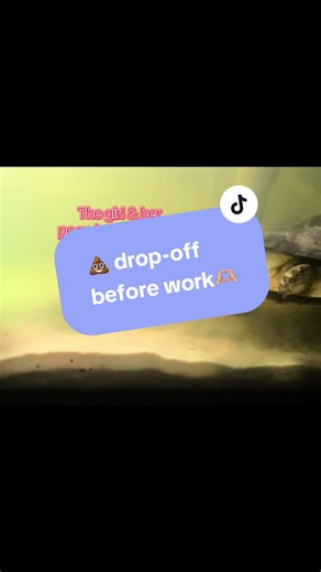 Adorable Animal Rescue Drop-Off Start to the Week