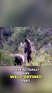 Bigfoot Photo Analysis: Misidentification or Real Creature? #shorts