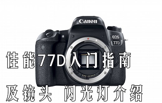 【入门指南】佳能77D快速入门指南及镜头 闪光灯介绍（Canon 77D）[双语CC字幕]