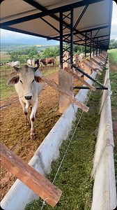 Victor Larroza on Reels