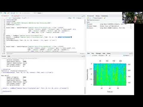 Using R to detect bird vocalizations: Listening to wav files in R for template creation