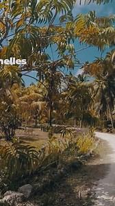 1.3K views · 26 reactions | A África é o terceiro maior continente do...