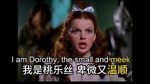 【影视剧学英语】驯服的 温顺的 谦恭的 表达 meek