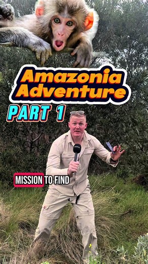 ‼️🚨I’M HEADING DEEP INTO AMAZON IN PERU 😱🤯 On Sunday July 20 I’m heading over to Peru South America 🌎 I’ll be on the hunt for Orchid Bees, Stingless bees, 🐝 big spiders, 🕷️ crazy moths and butterflies 🦋 and everything in between 🪲🔥✅ THANKYOU @blackbird.foundation for sponsoring my dream to find Native bees in the Amazon, I won’t let you down 🫶🏻 Stay tuned for a potential collaboration with @nvolpe.wild 😳‼️ ❤️ Protostars @theia.gabatan @joel_connolly ❤️