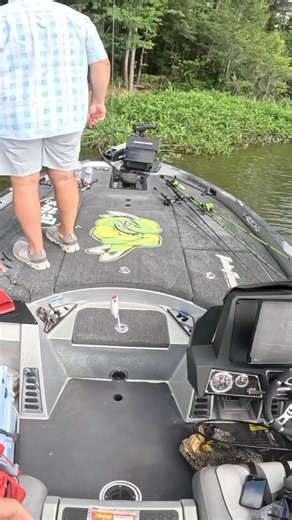 Didn’t expect that 😂 - #fishing #bassfishing #fish #gator #alligator #frog #frogfishing #fishingvideos #lake #kickintheirbasstv | Kickin Their Bass TV