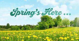 Just as spring brings change each year, our collection of classic competition cars changed motoring forever. Come see them. | America's Transportation Experience / AACA Museum, Inc. | Facebook