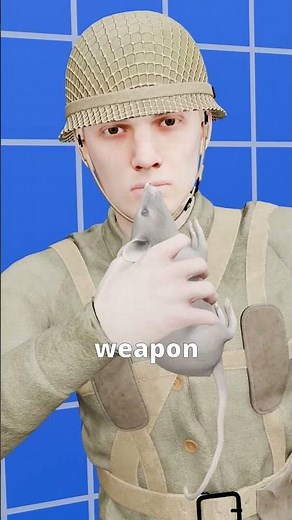 WW2’s Weirdest Weapon: The Explosive rat #informative