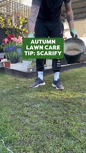 Thinking about giving your lawn a fresh start this coming autumn? Scarifying might look brutal, but it’s the secret to thick, healthy grass in just a few weeks! 💪 Got questions on scarifying or tips to share? Let us know below 👇 #LawnCareTips #AutumnLawnRenovation #Scarifying #LawnTransformation #UKGardening #TheLawnPack | The Lawn Pack