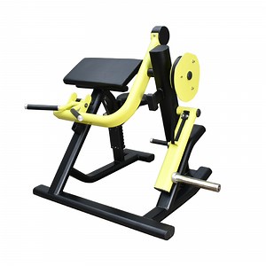 [Hot Item] Life Fitness Gym Machine /Plate Loaded Biceps Curl (BFT-5005)