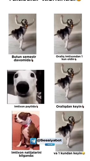 Mashrapov 🫆 on Instagram: "Talabalar tushunadi😂 日本利用压电瓷砖将脚步转化为电能。这些瓷砖捕捉来自你脚步的动能。当你行走时，你的重量和动作会对瓷砖产生压力。瓷砖会轻微弯曲，从而产生机械应力。瓷砖内部的压电材料将这种应力转化为电能。每一步都会产生少量电荷，而数百万步结合在一起就能产生足够的电力来驱动 LED 灯、数字显示屏和传感器。在像涩谷车站这样繁忙的地方，每天大约有 240 万个脚步为这一系统作出贡献。这些电能可以被储存或立即使用，从而减少对传统电力来源的依赖，并支持可持续的城市基础设施。这种方法将日常运动转化为实用的可再生能源 #日本 #知识 #事实 #你知道吗 #推荐 #科技 #创新 #历史 #技术 #实验 #热门 日本利用压电瓷砖将脚步转化为电能。这些瓷砖捕捉来自你脚步的动能。当你行走时，你的重量和动作会对瓷砖产生压力。瓷砖会轻微弯曲，从而产生机械应力。瓷砖内部的压电材料将这种应力转化为电能。每一步都会产生少量电荷，而数百万步结合在一起就能产生足够的电力来驱动 LED 灯、数字显示屏和传感器。在像涩谷车站这样繁忙的地方，每天大