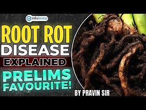 Root Rot Disease in Plants: Causes, Effects, and Prevention | UPSC Agriculture