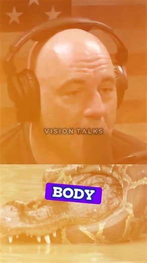 😳🐊 Joe Rogan On Python vs Crocodile.