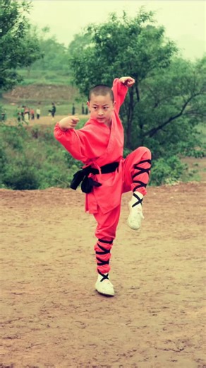 大mike /Mike Leeder on Instagram: "Back in 1998, I was working for Producer /Director Harold Weldon on his project David Carradine: A Martial Arts Journey which saw us travelling to the Shaolin Temple with David Carradine making his first visit to the real Shaolin after all those years on the backlot. And we shot a demonstration and interview with a young Shaolin martial arts prodigy who'd just started making movies, Sik Seal-lung who's still making movies and kicking ass, and just worked with @i