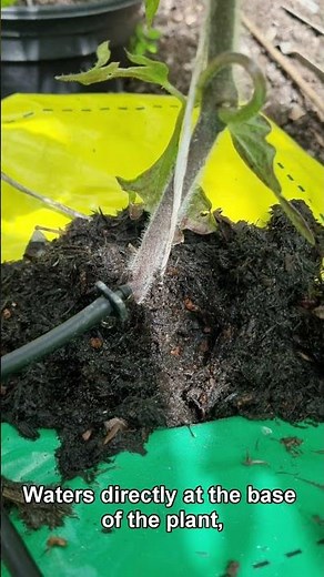 How to setup a Solar powered watering system from Irrigatia.com #solar #allotment #solarwaterpump