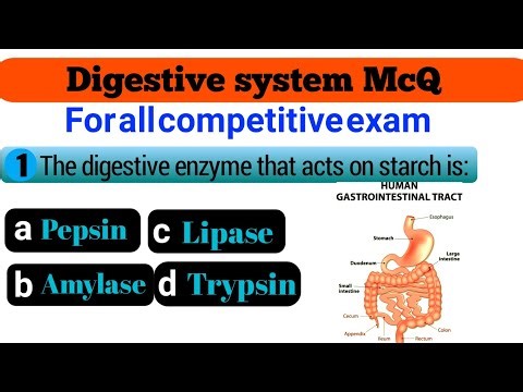 Digestive system McQ 🧠/can you pass this Quiz 💪